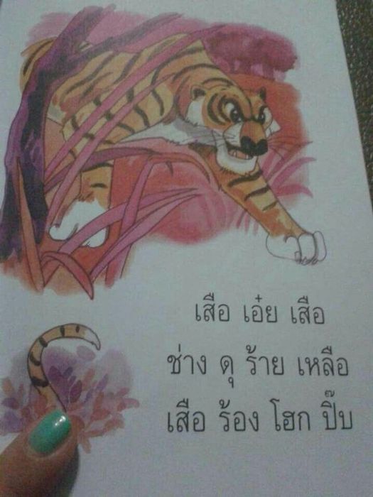 โฮก ปิ๊บ