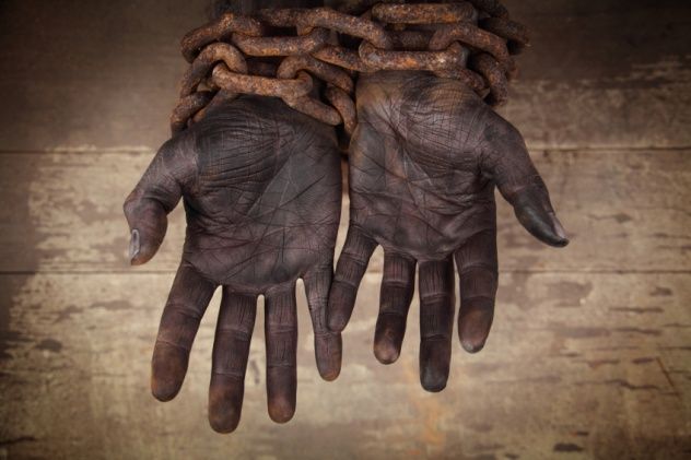 iStock_000010591635_Small