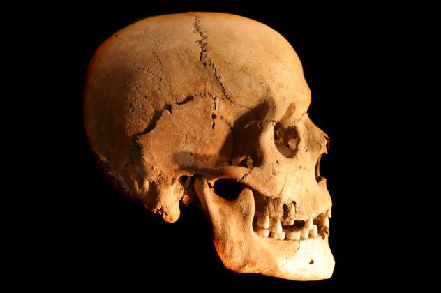 4-skull_000000478962_Small