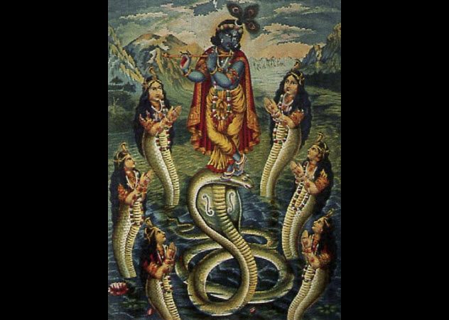 4-krishna