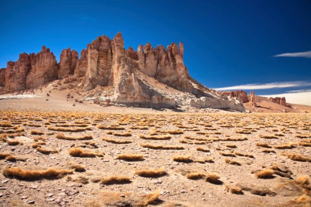 5atacama