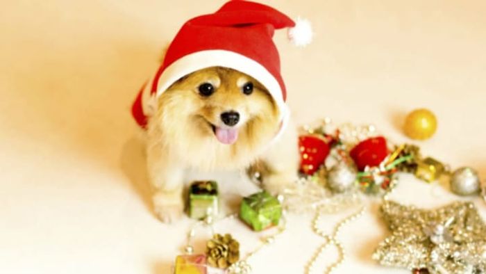 ISTOCK