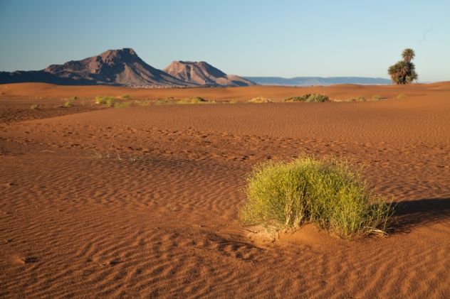 iStock_000062379792_Small