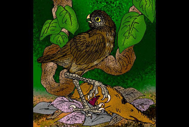 2-Ornimegalonyx
