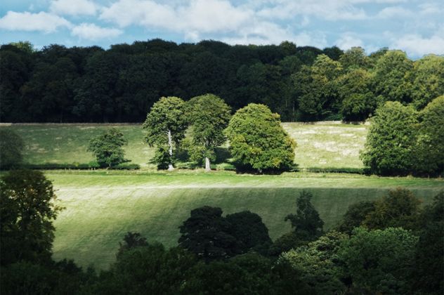 10- Pucking Grove