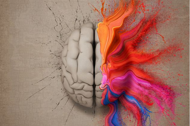 8- Brain Function 2
