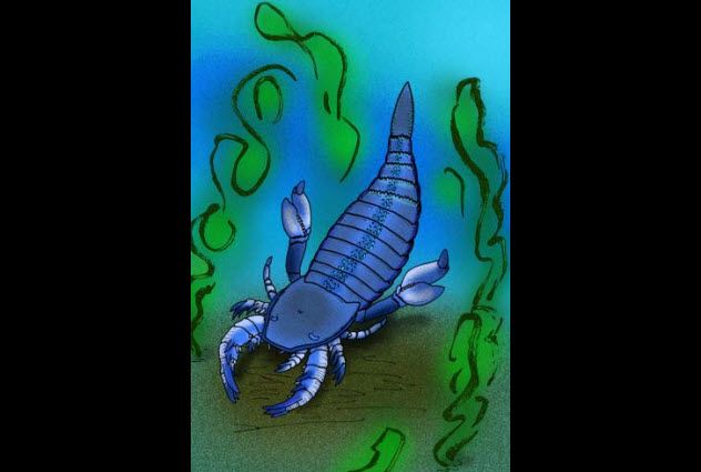 10-sea-scorpion