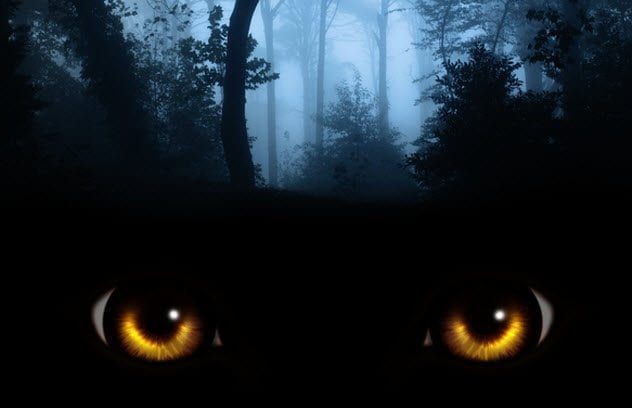 5a-alien-eyes-520916863