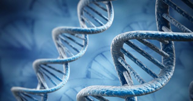 5-dna_000054659734_Small