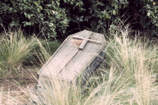 coffin hood