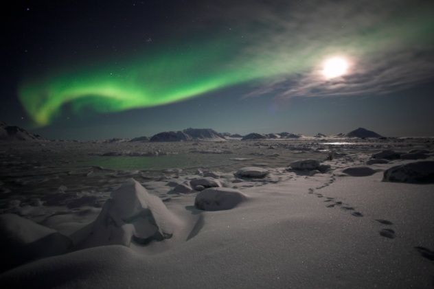 Arctic
