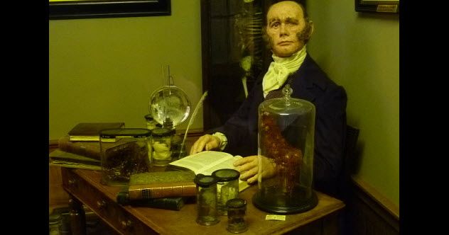 5-feature-mad-scientist-robert-knox