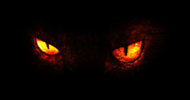 iStock_000067553455_Small