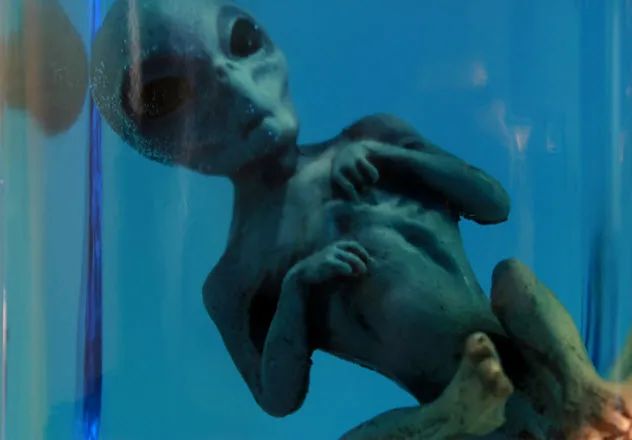 10-alien-corpse_3414890_SMALL