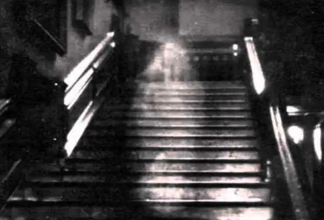 5-brown-lady-raynham-hall-darken