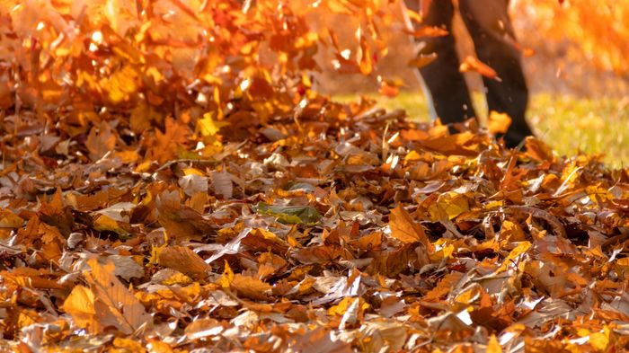 a man using a leaf blower to scatter fallen leaves