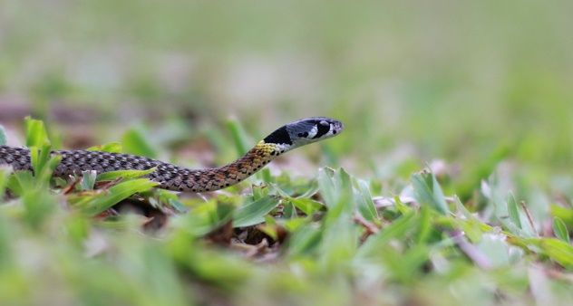 ThinkstockPhotos-530932397