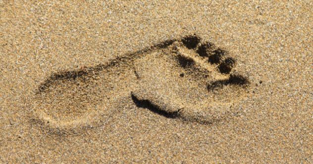 3-feature-footprint-469558687