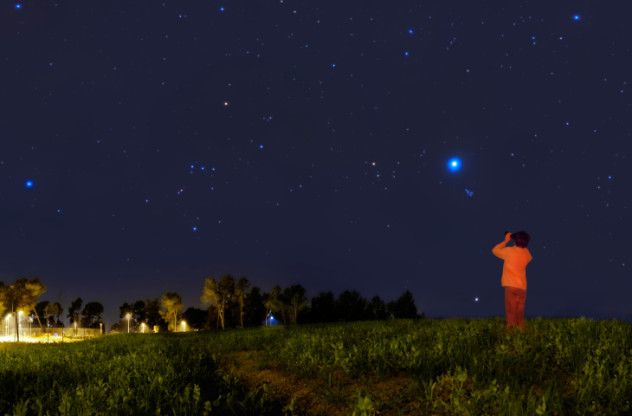 star gazer