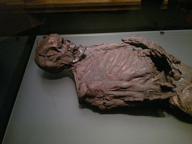 10 preserved bog body