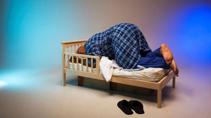 Adult-sized toddler bed
