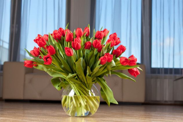 7 flowers