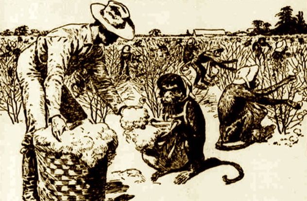 07