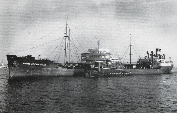 Marine-Sulphur-Queen