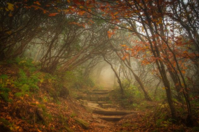 mysterious trail