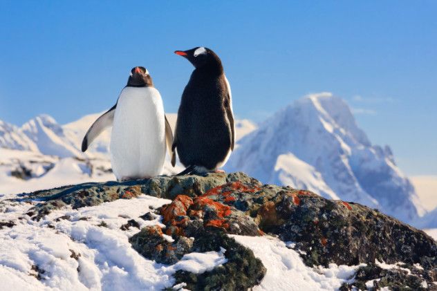 2 South Pole