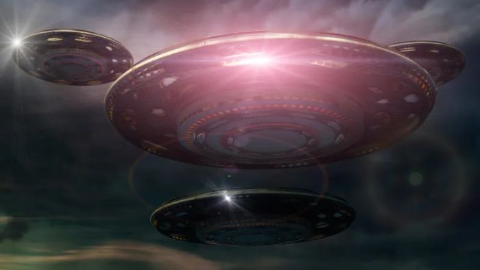 462441031