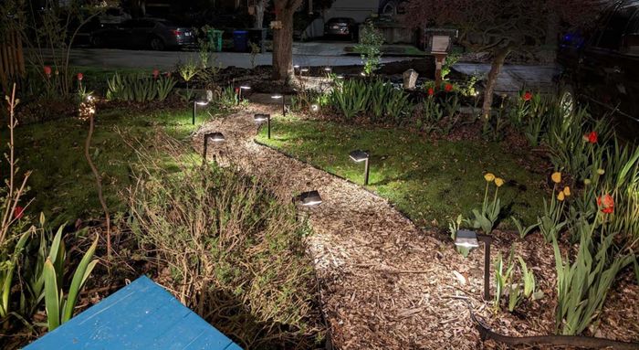 A garden pathway illuminated by solar lights on both sides, surrounded by lush grass and blooming tulips.