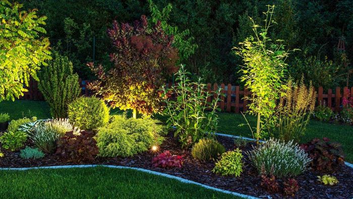 A garden beautifully lit by energy-efficient LED lights