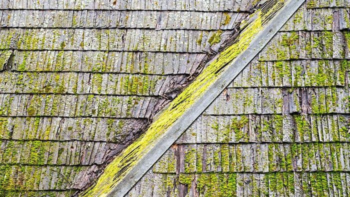 How to Remove Mold from Your Roof (and Prevent Its Recurrence)