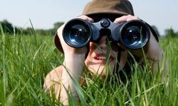 Participating in the Boy Scouts or Girl Scouts provides children with the opportunity to acquire a wide range of valuable skills.