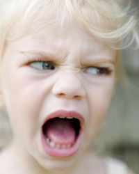 Avoid trying to reason with a toddler during a tantrum. It will only frustrate you as much as it does them.