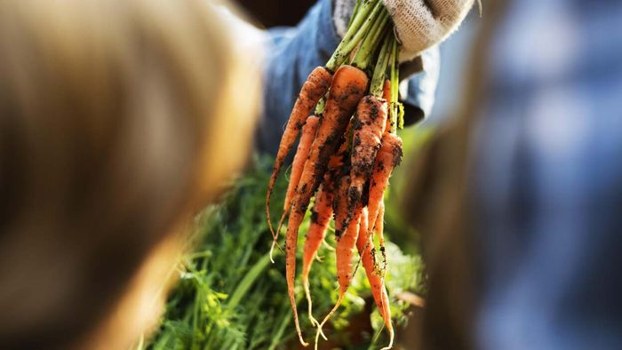 “Baby” carrots
