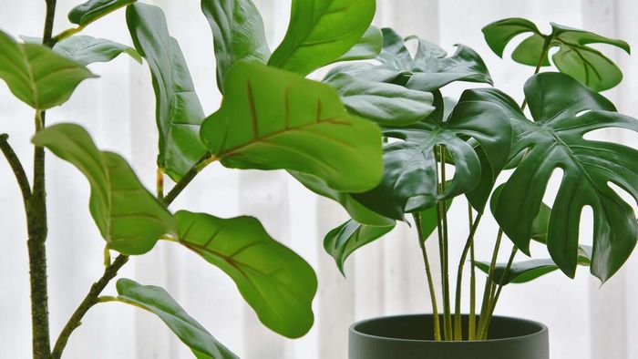 Effortlessly hydrate plants