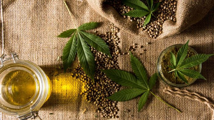 Cannabis