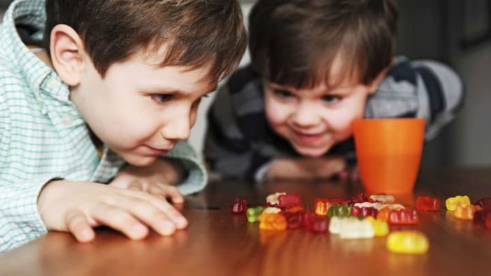 These young boys are set to showcase the process of osmosis using gummy bears.
