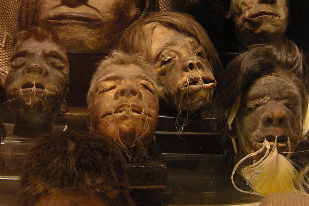 bigshrunkheads