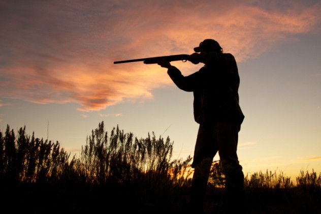 10 Hunting