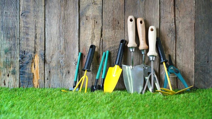 Effortless Tips to Keep Your Gardening Tools Sharp and Spotless