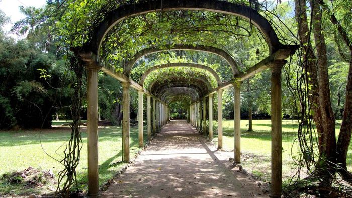 Trellis