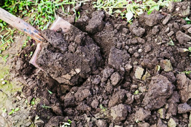 10 Shovel Dirt
