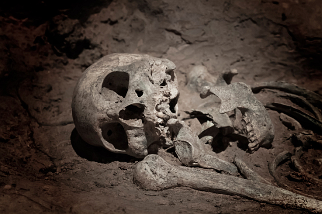 skeleton