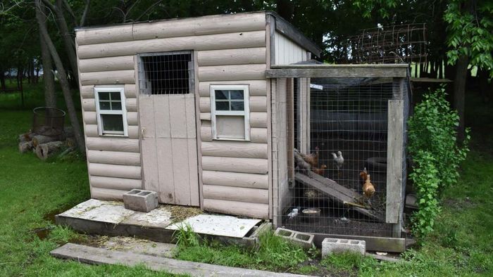 Chicken coop