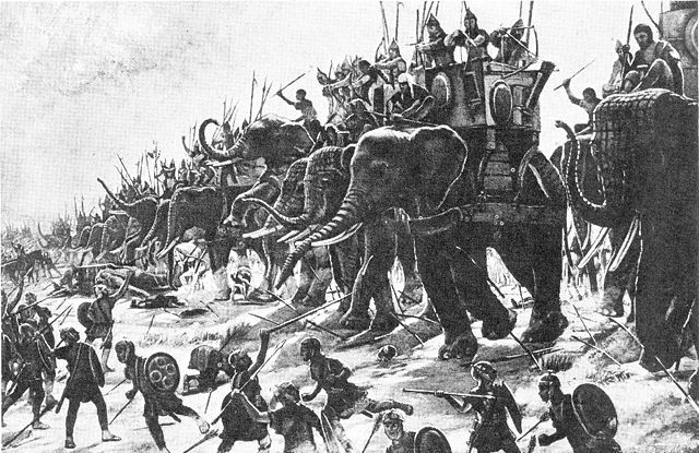 Elephants