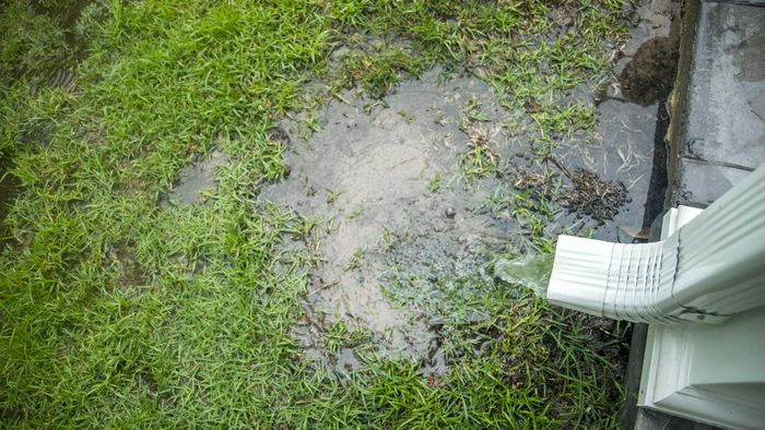 A downspout releasing water into a pool near the base of a house