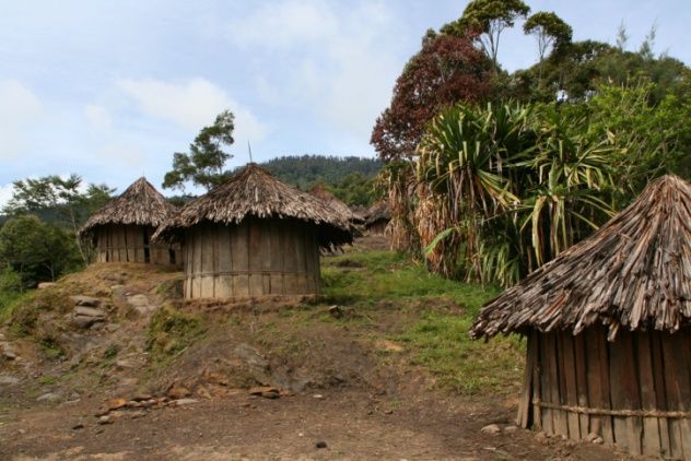 Papua New Guinea